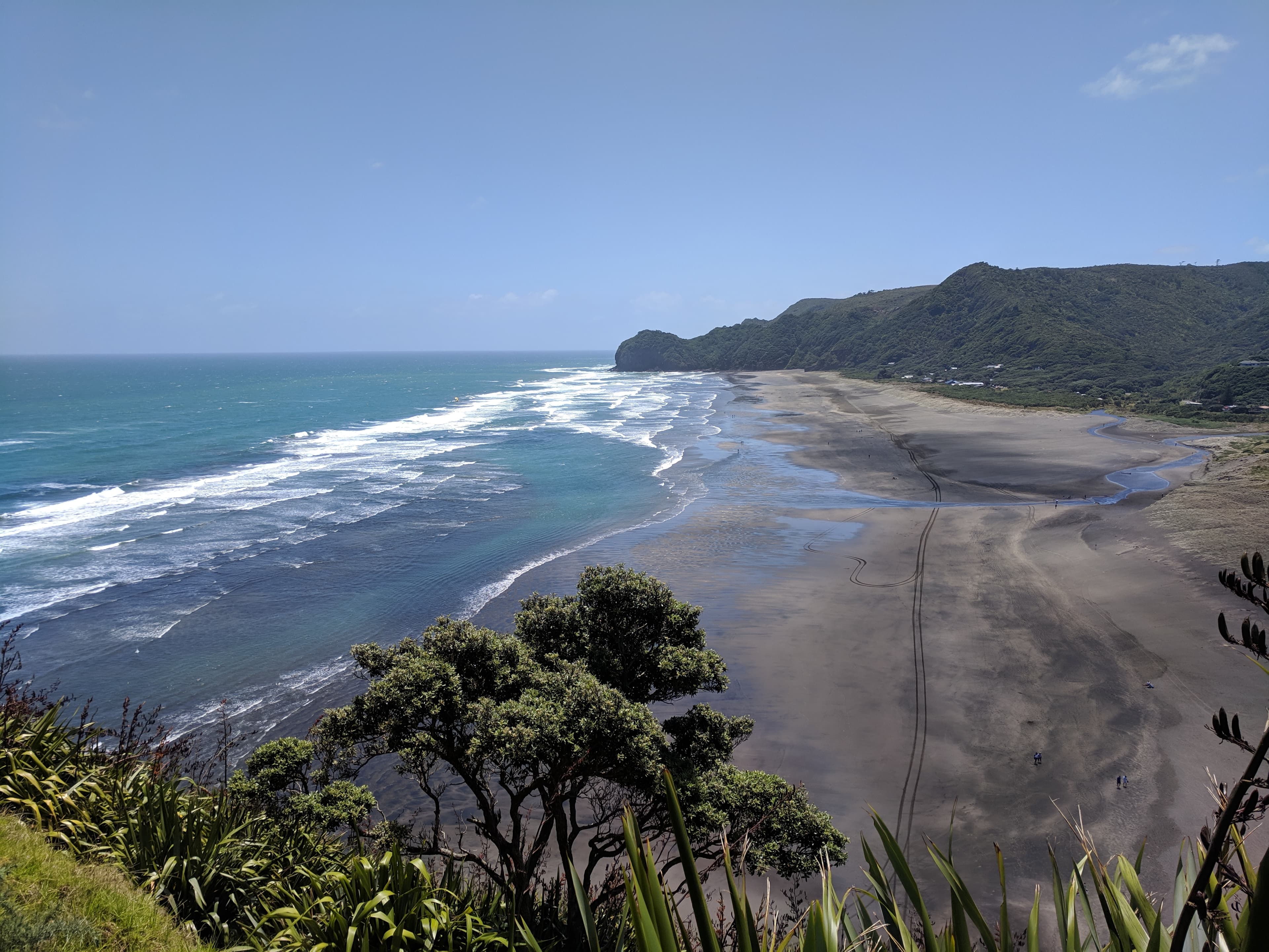 A view of Piha beach from atop Lion’s Rock