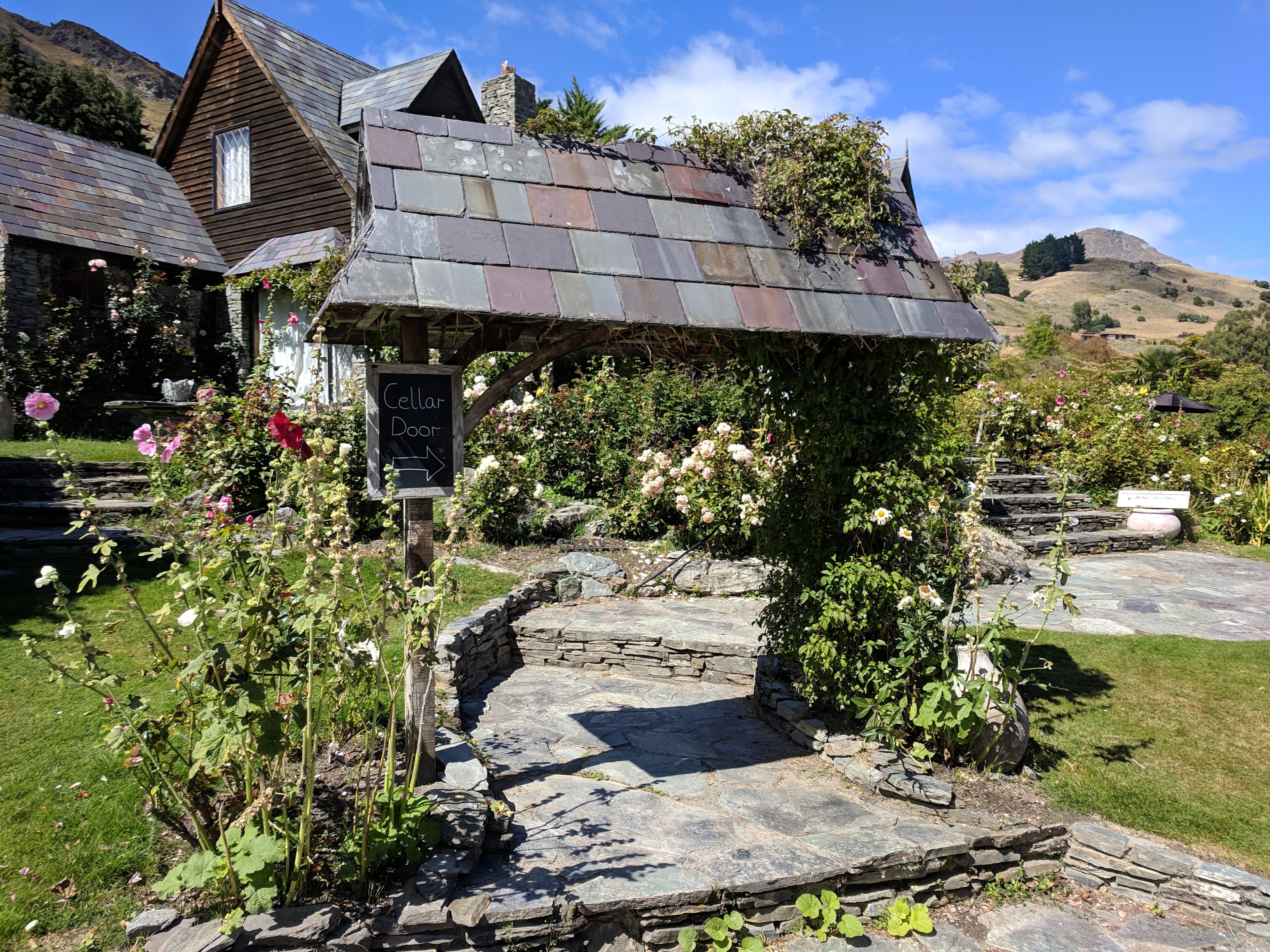 Cover Image for Central Otago Wineries!