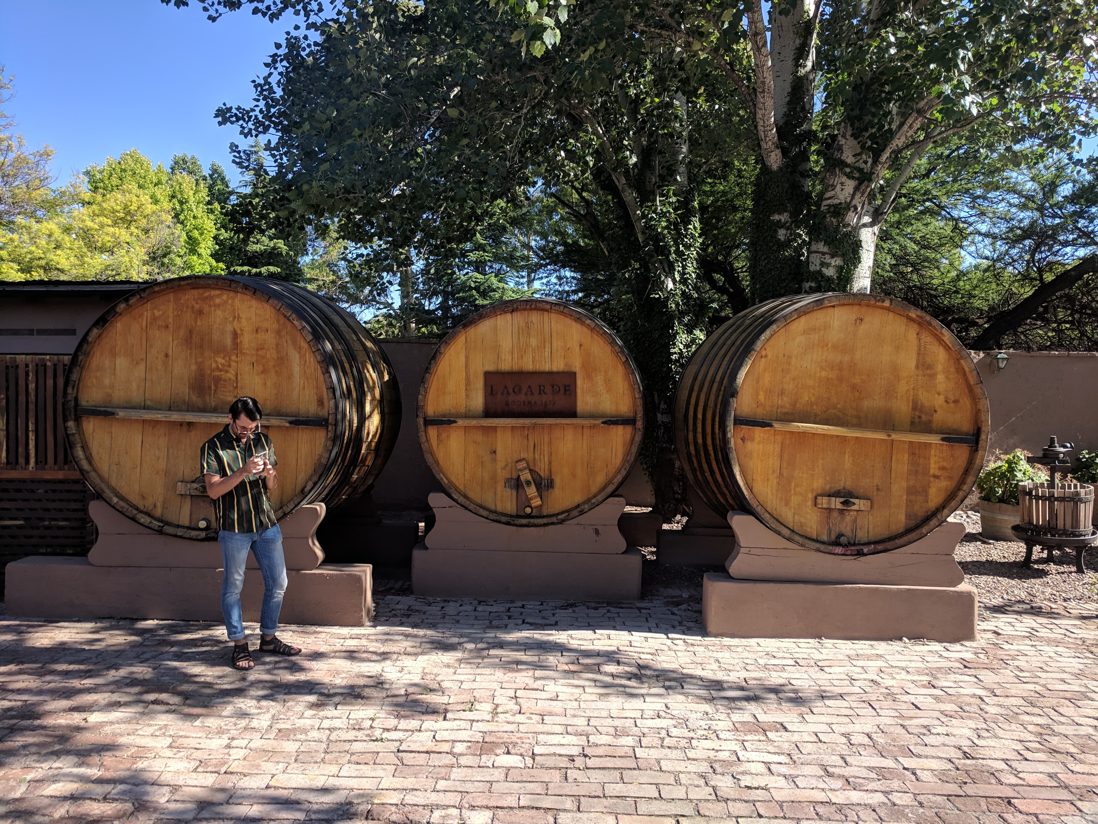Casks at Bodega Lagarde