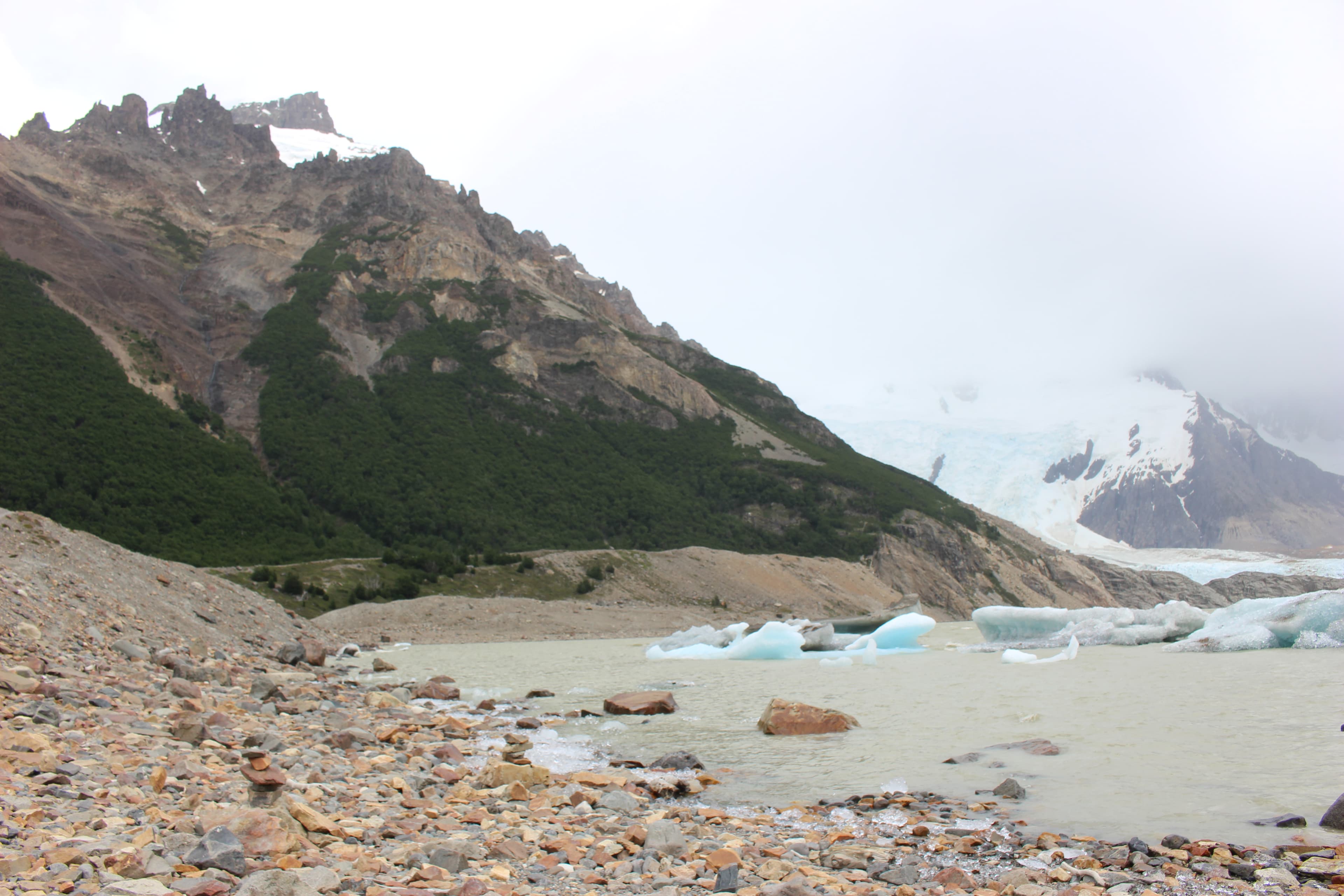 Laguna Torre with trees crawling up the mountain
