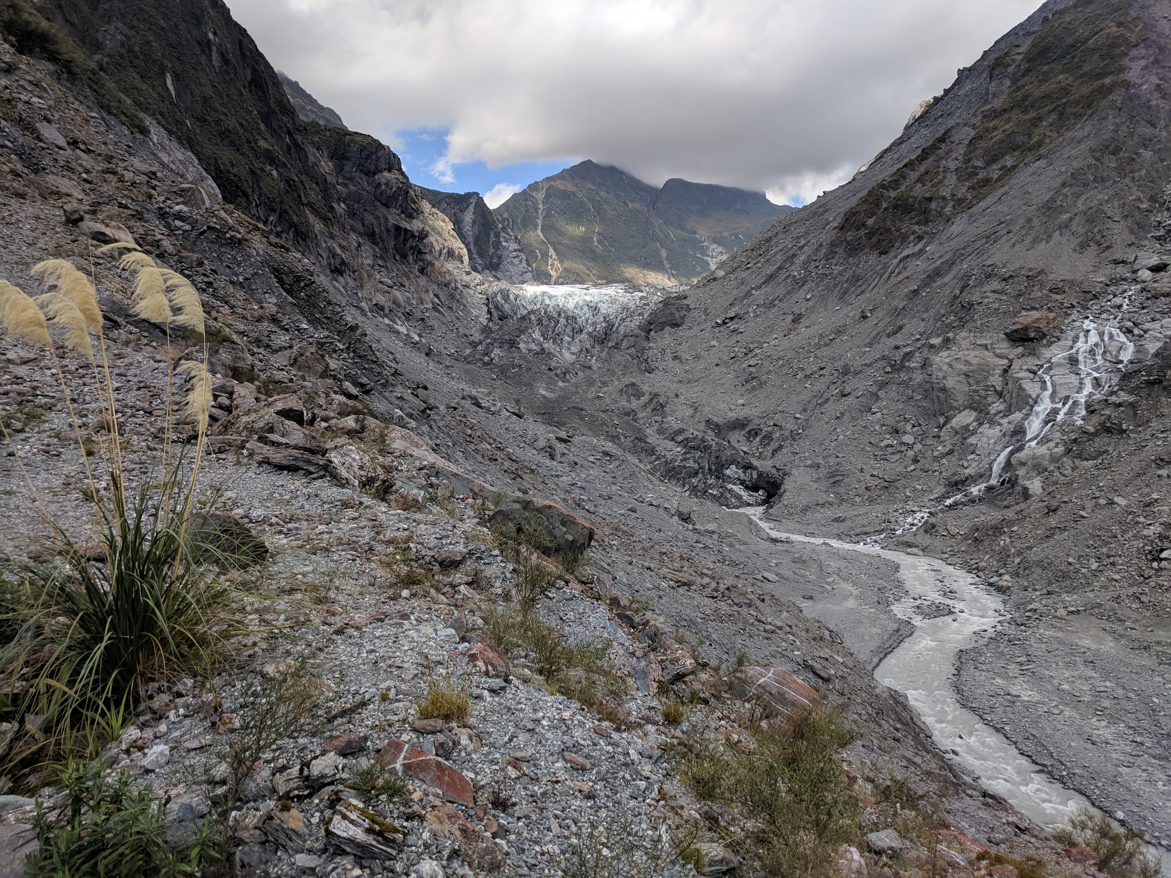 Fox Glacier