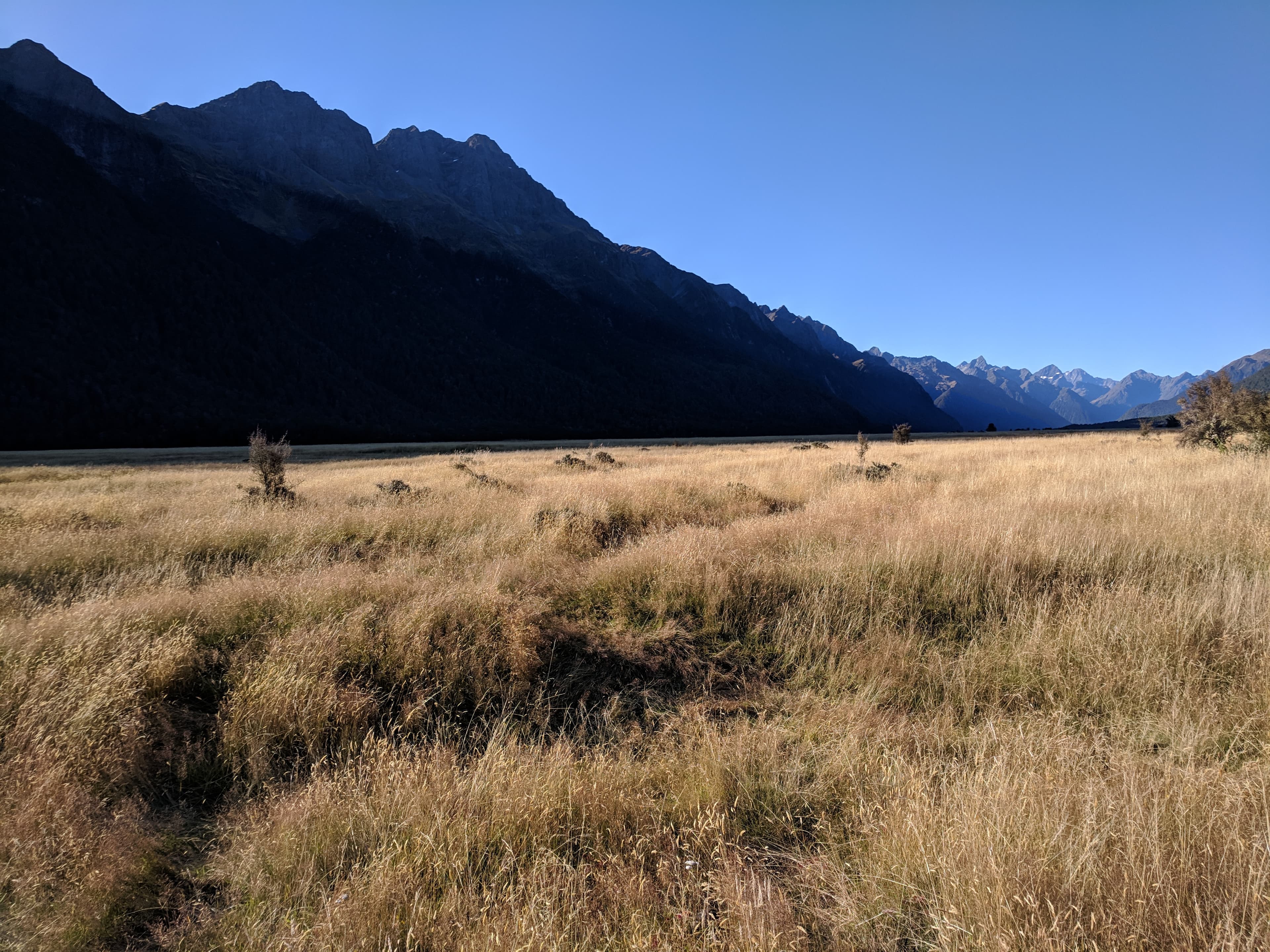 Eglinton Valley near Milford Sound a.k.a Misty Mountains