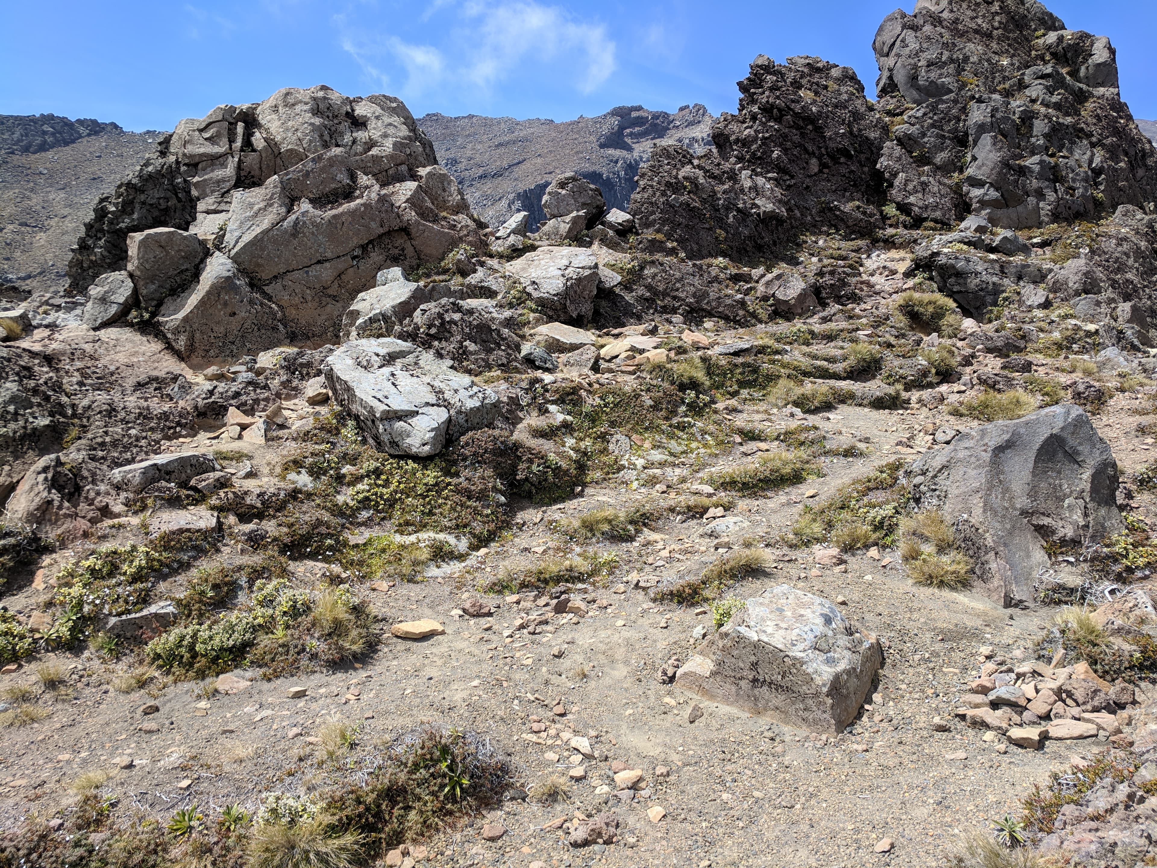 More rocks near Whakapapa Skifield: Mordor