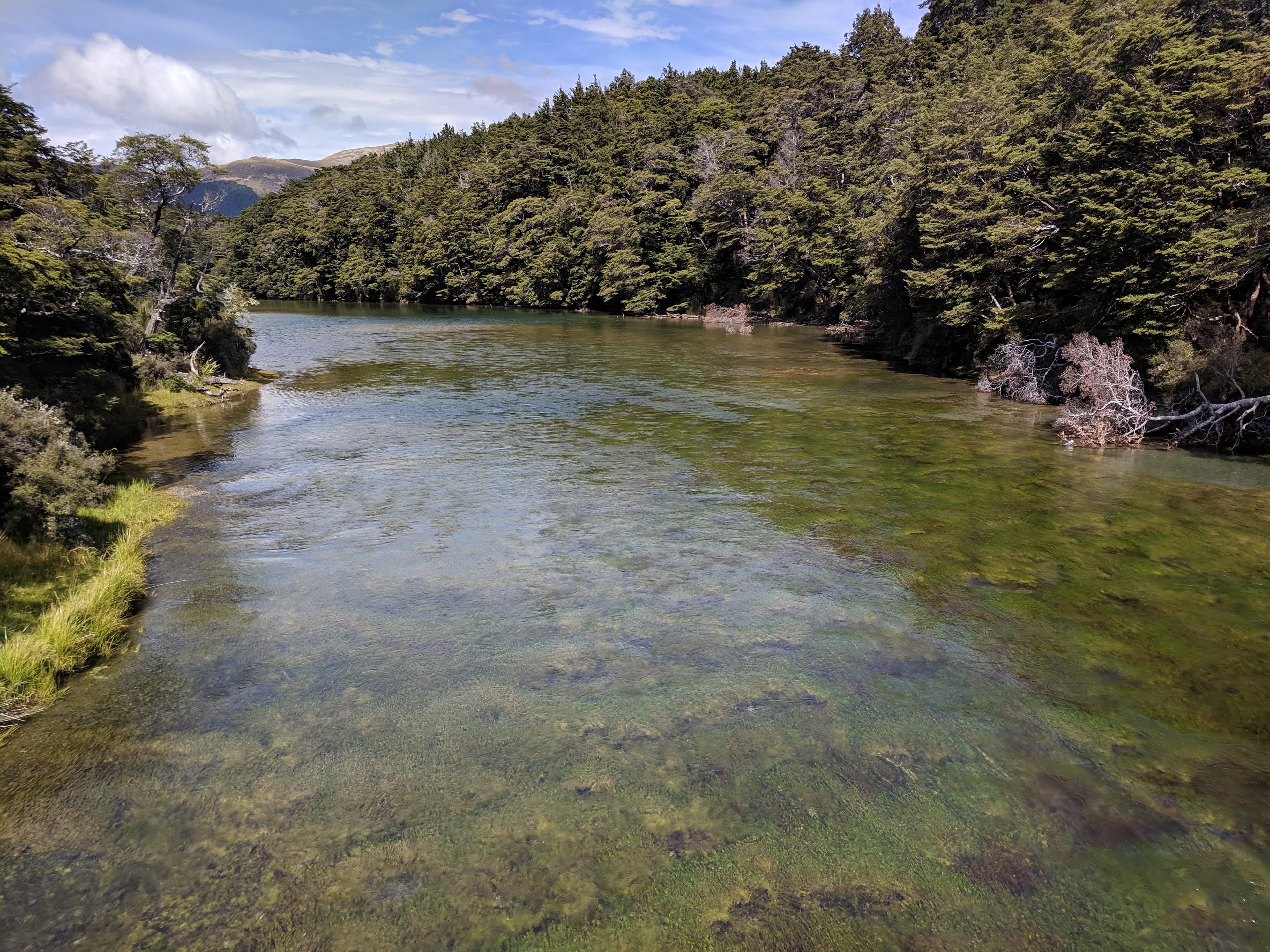 Silverlode and Anduin River Junction
