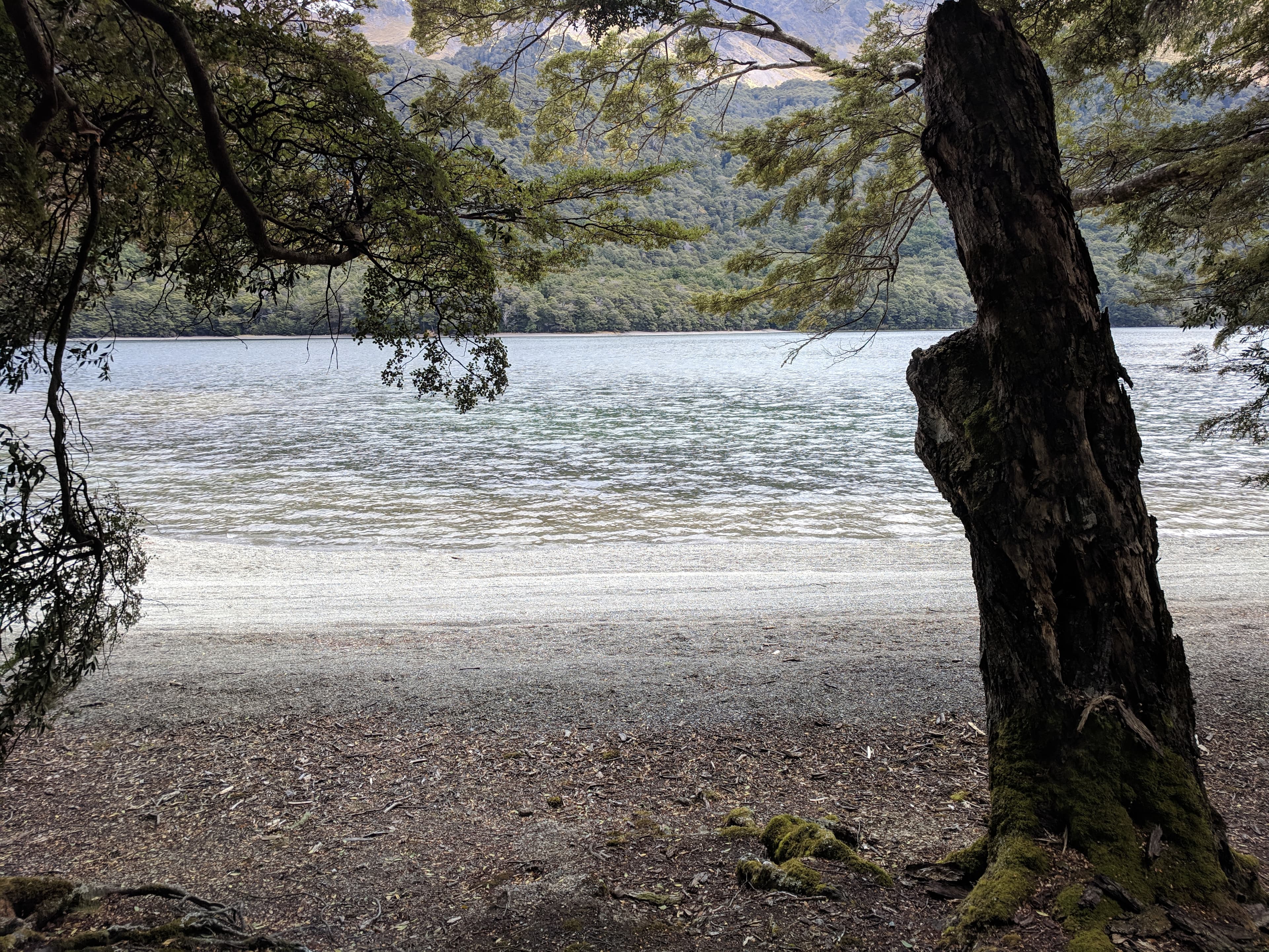 View from woods to Nen Hithoel Beach