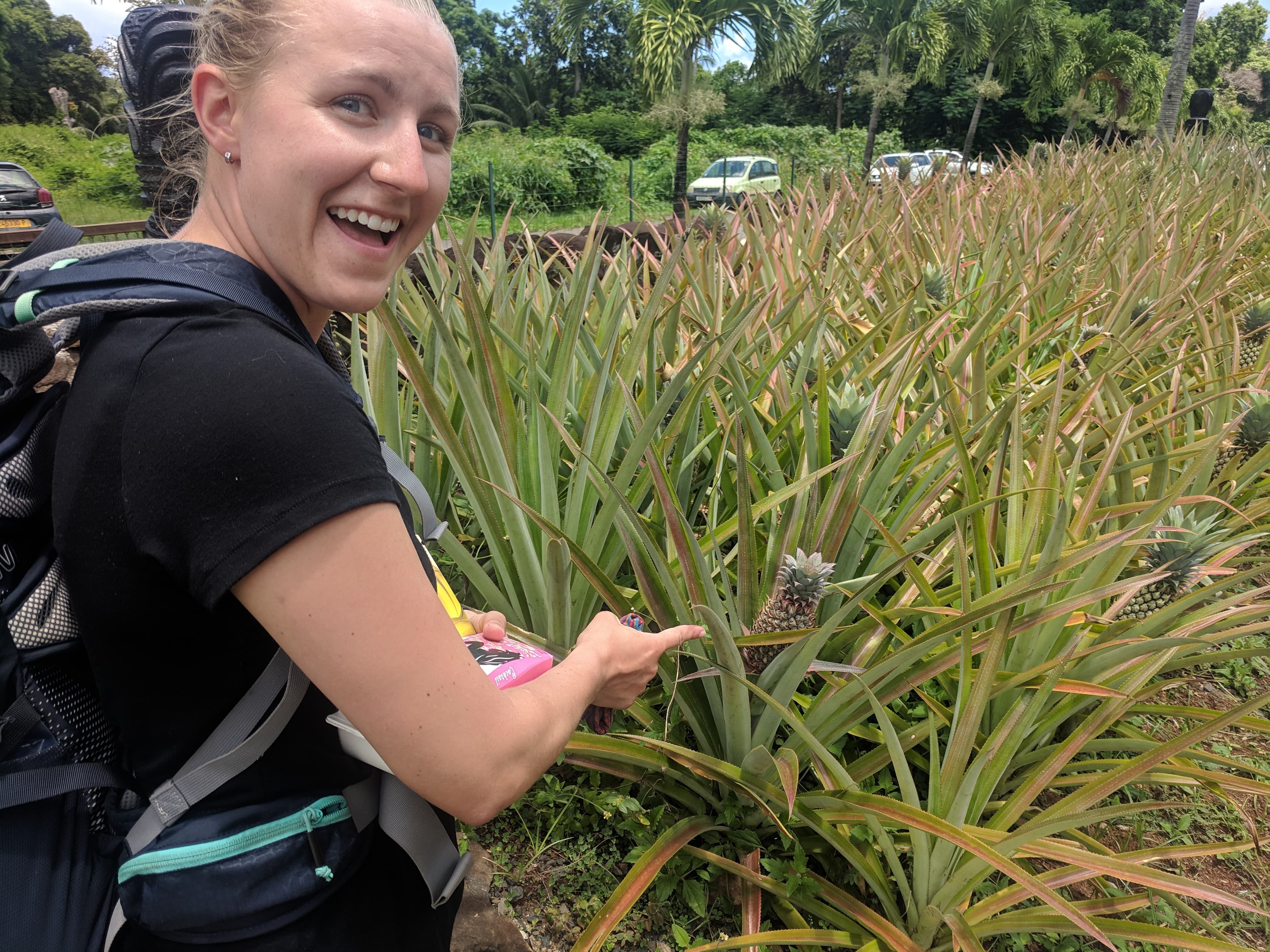 Lauren found a cute pineapple at Rotui Juice Factory & Distillery