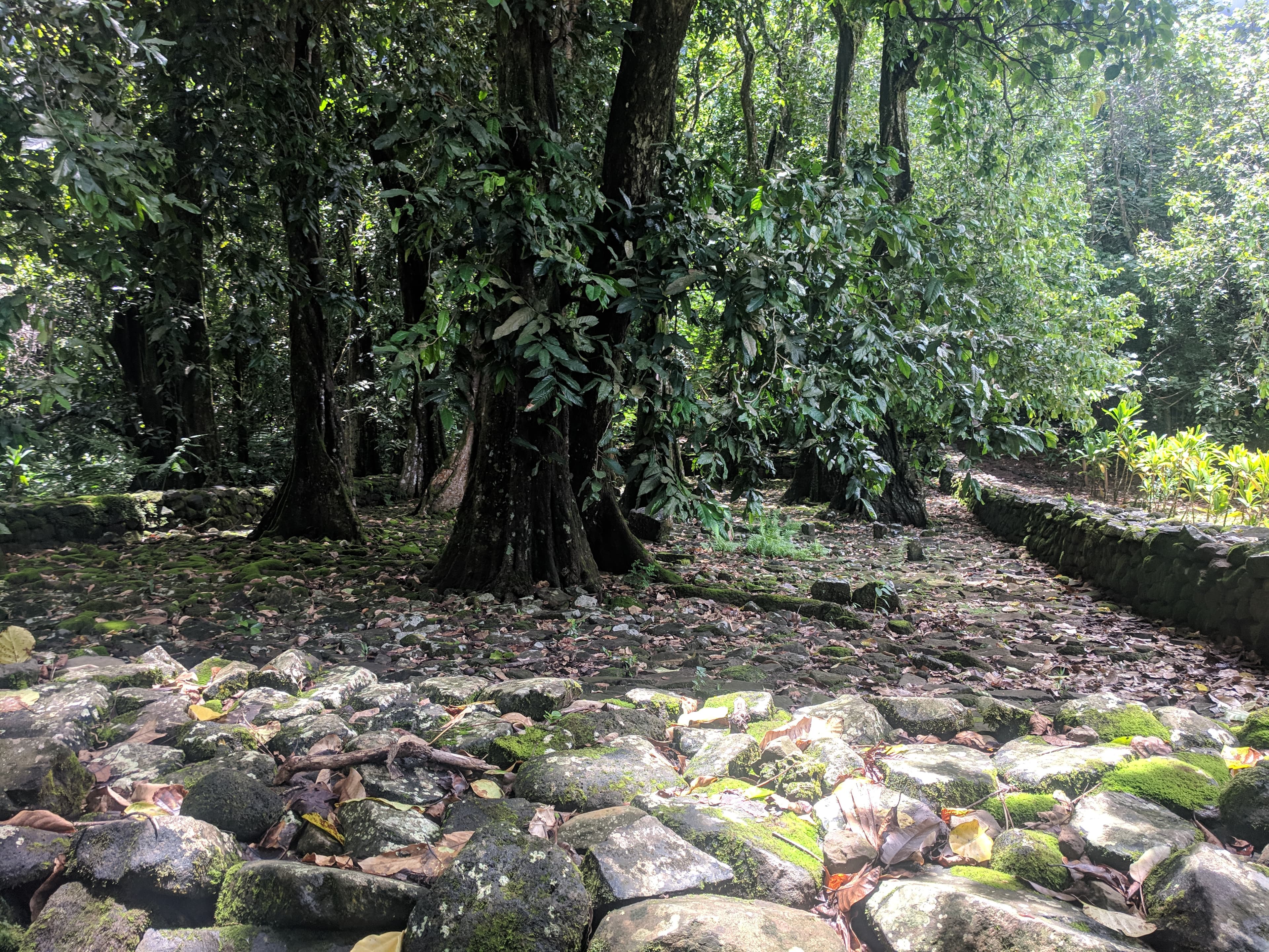 Marae Titiroa site