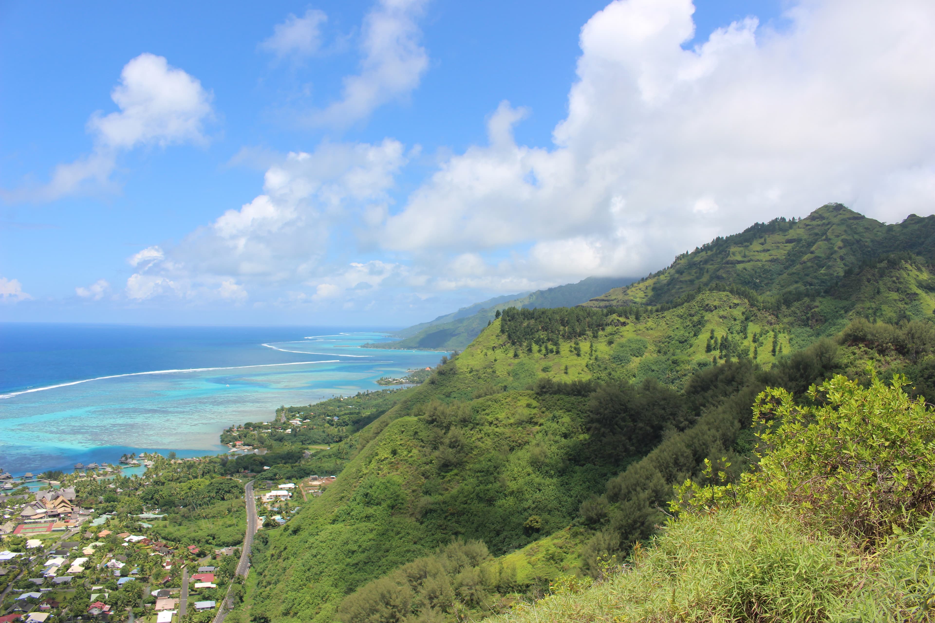 Coast line view from the hidden Beautiful Viewpoint
