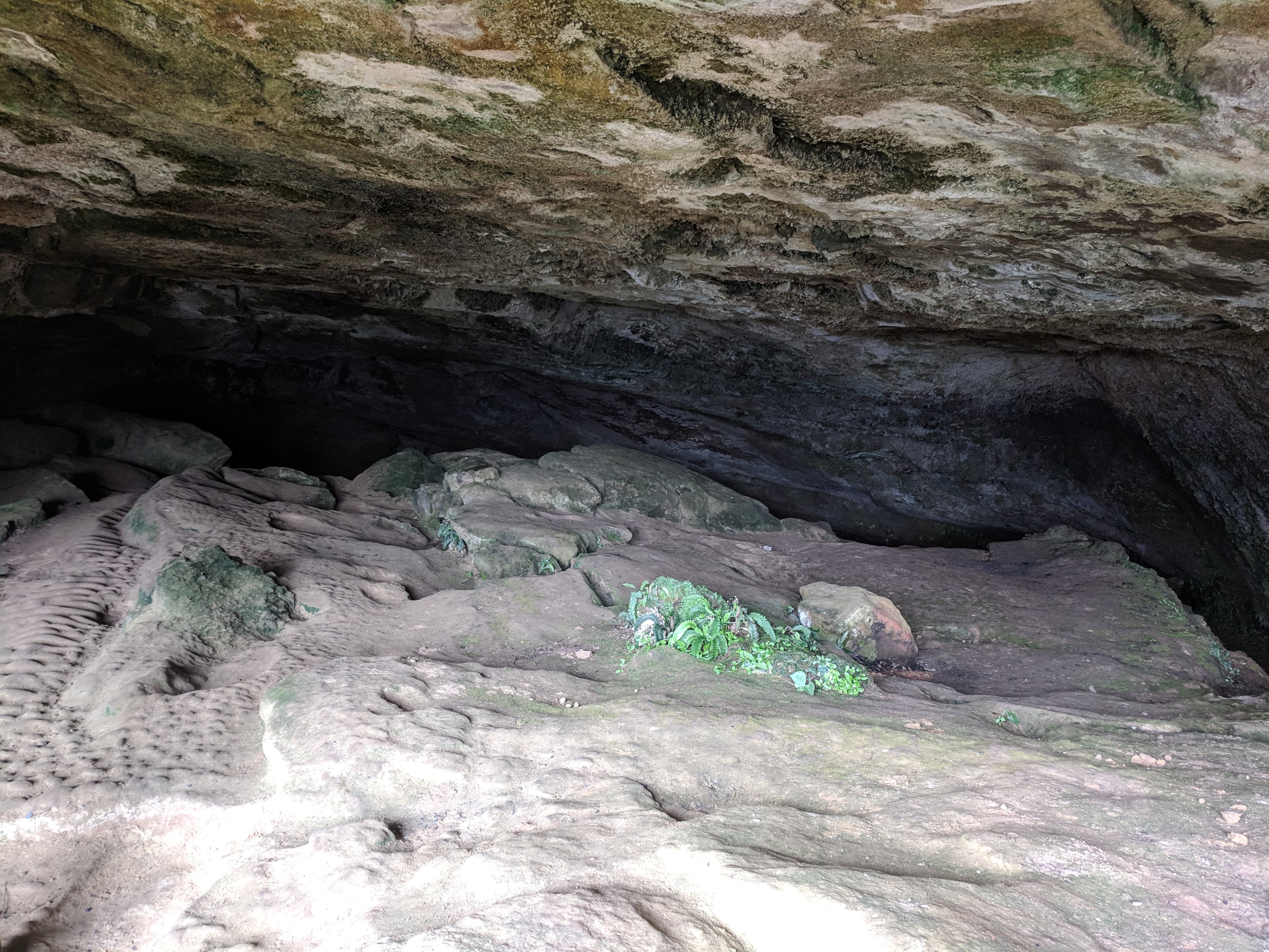 A view of Punakaiki Cavern