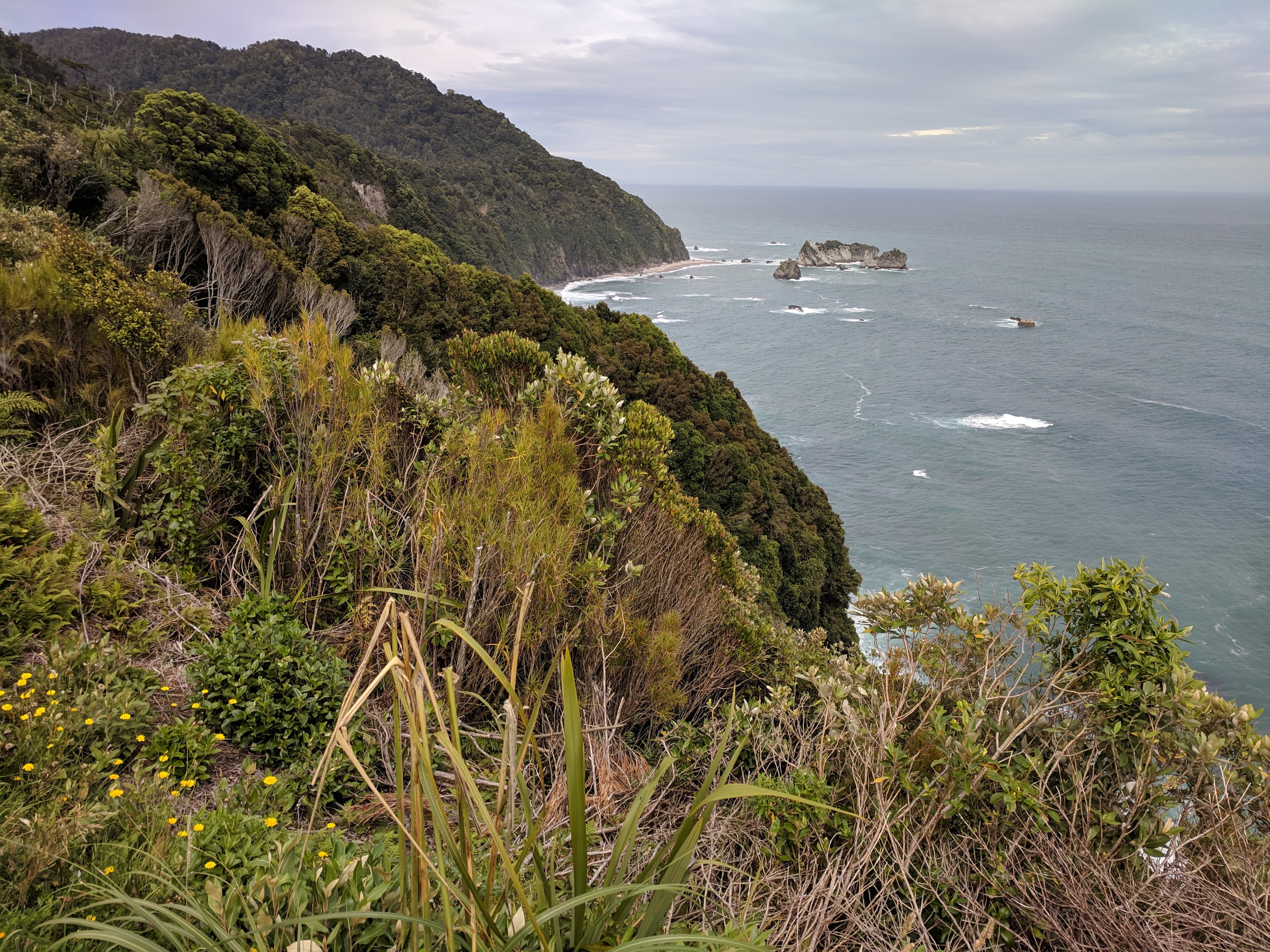View from Knight's Point Lookout