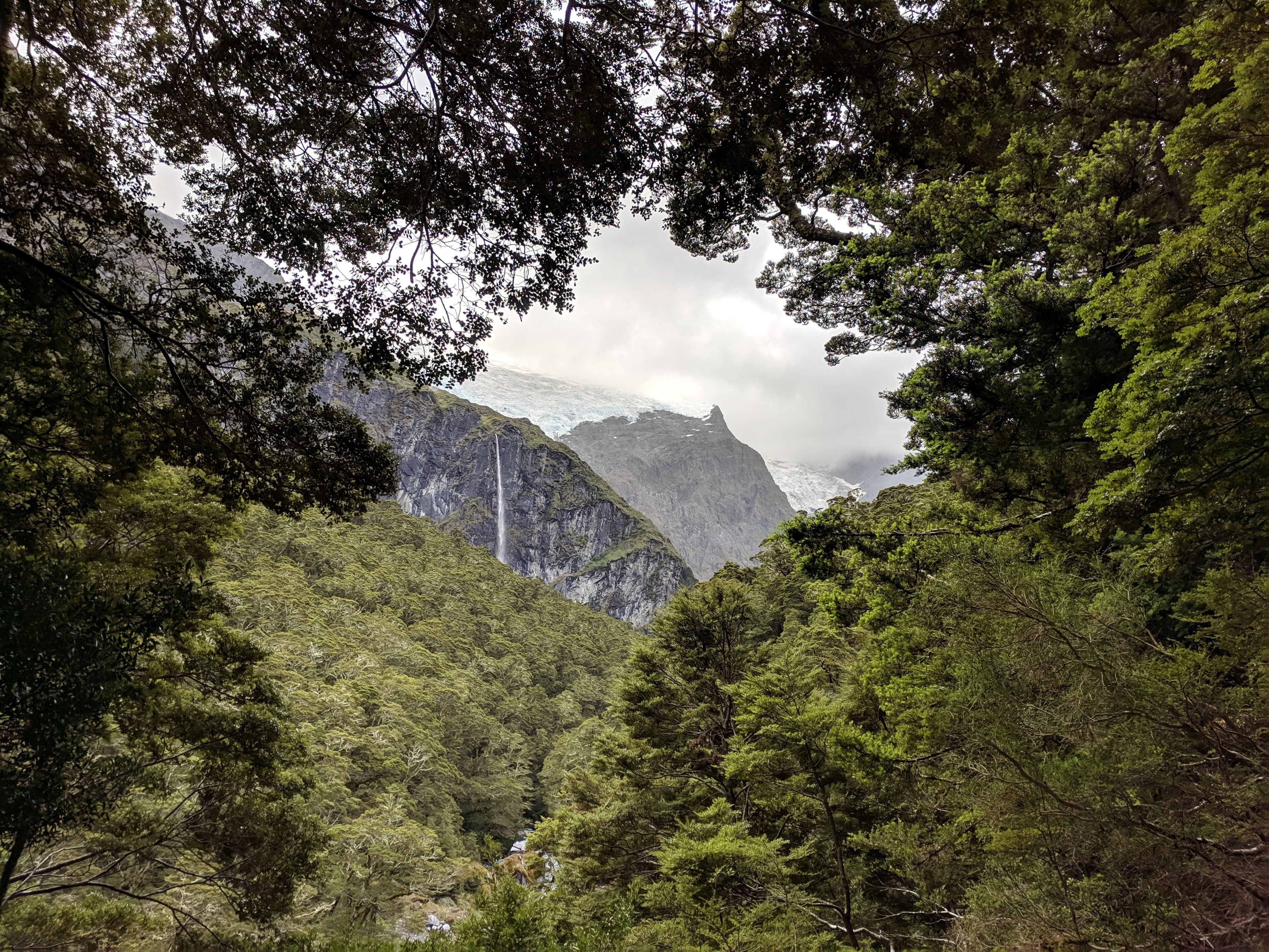 Looking through the trees at Rob Roy Glacier