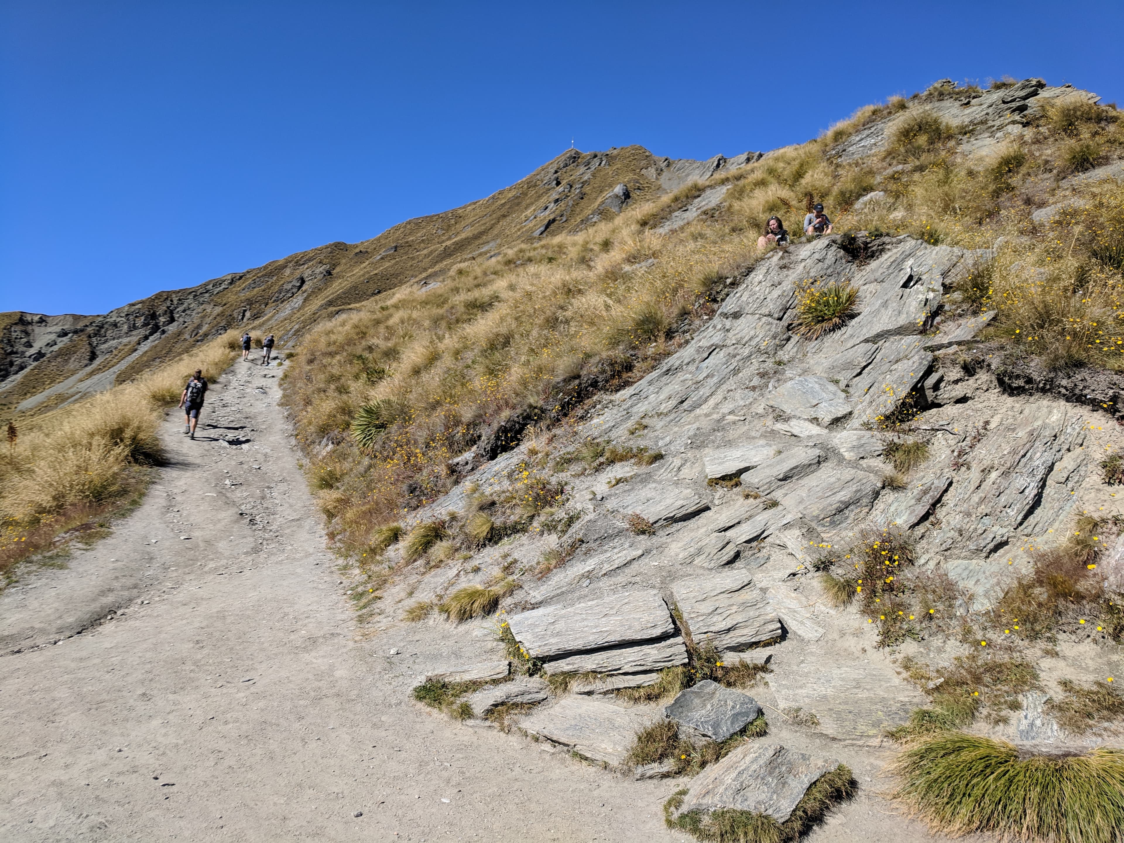 Path up to Roys Peak