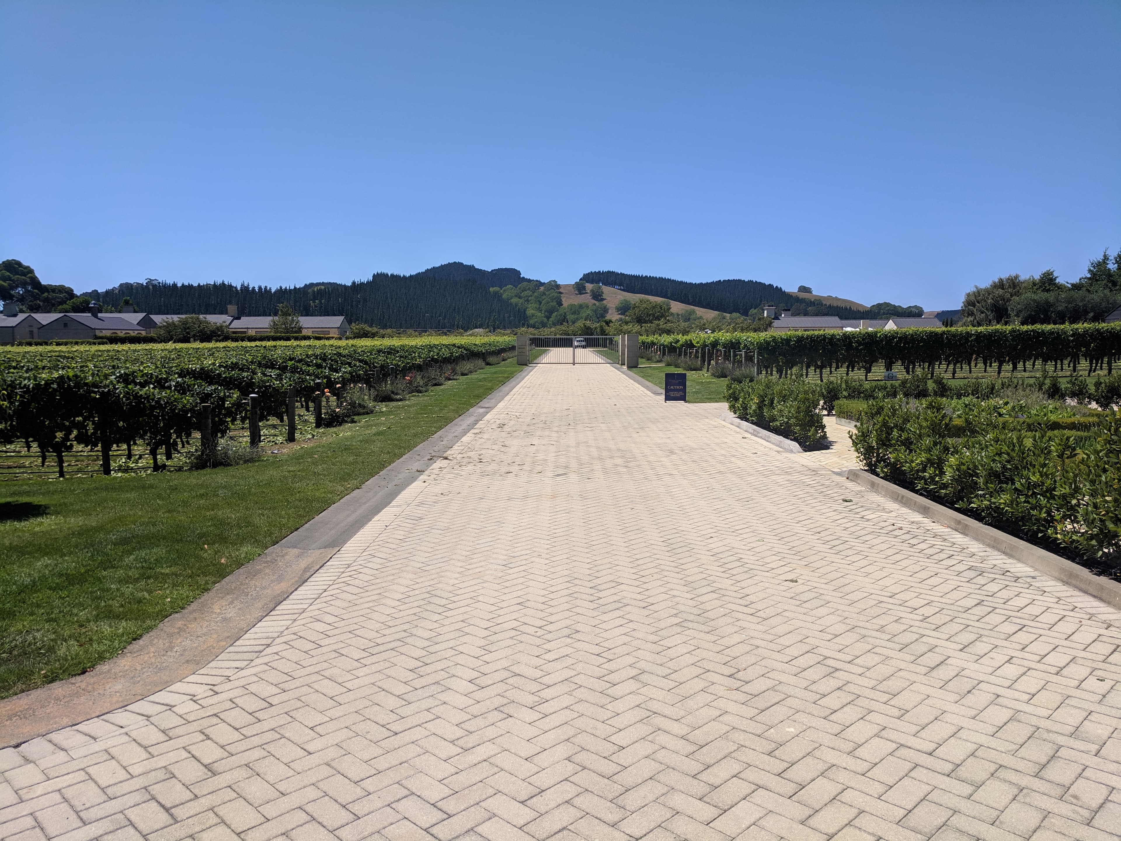 The grape fields of Craggy Range Winery