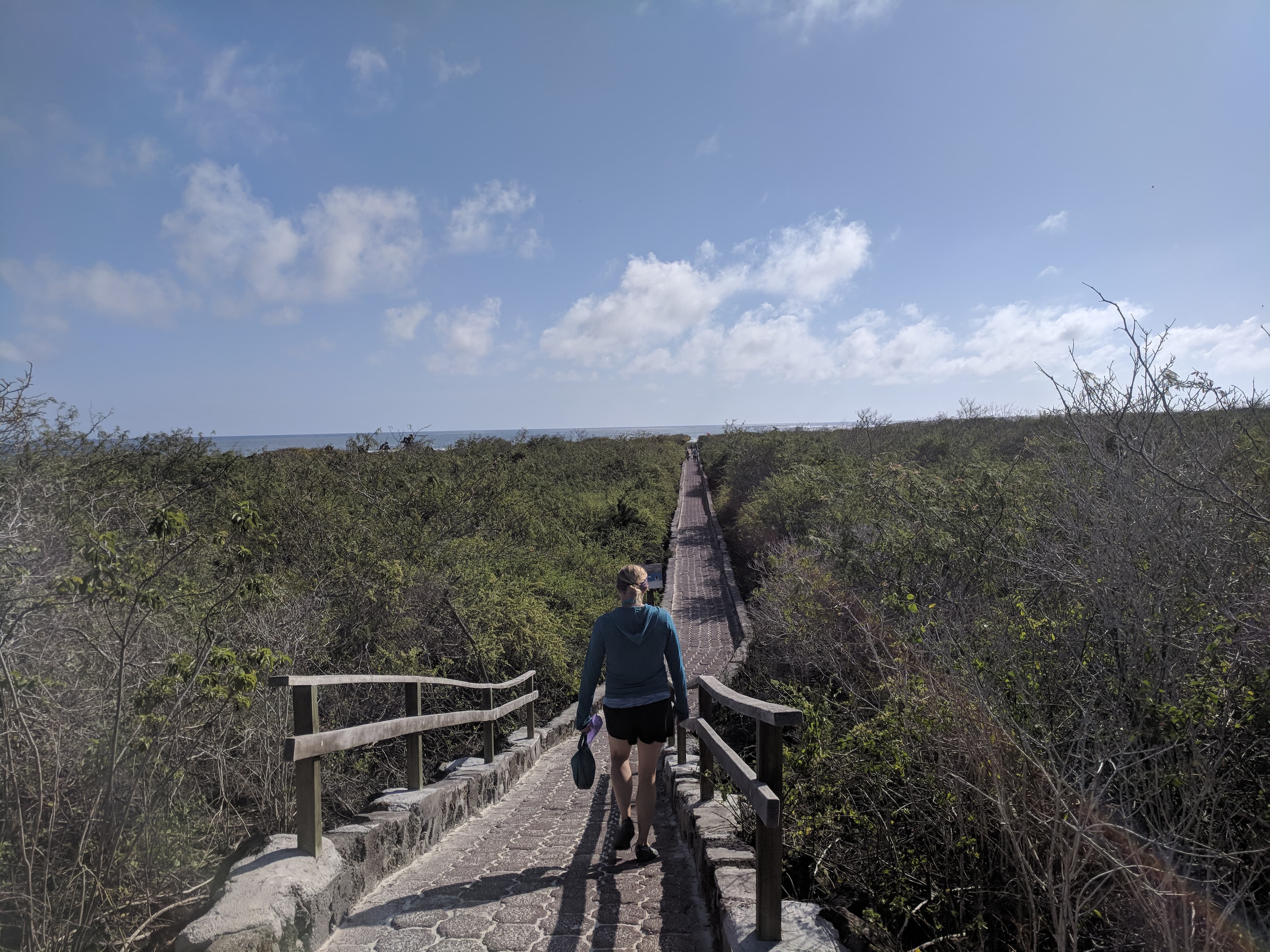 Tortuga Bay boardwalk