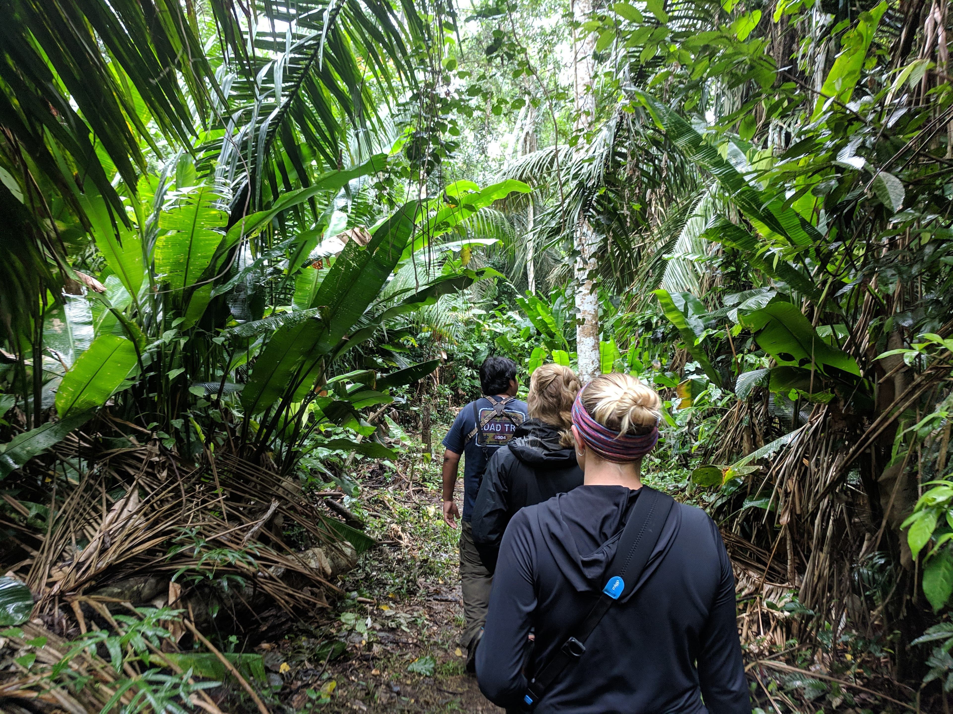 On a nature walk with our guide