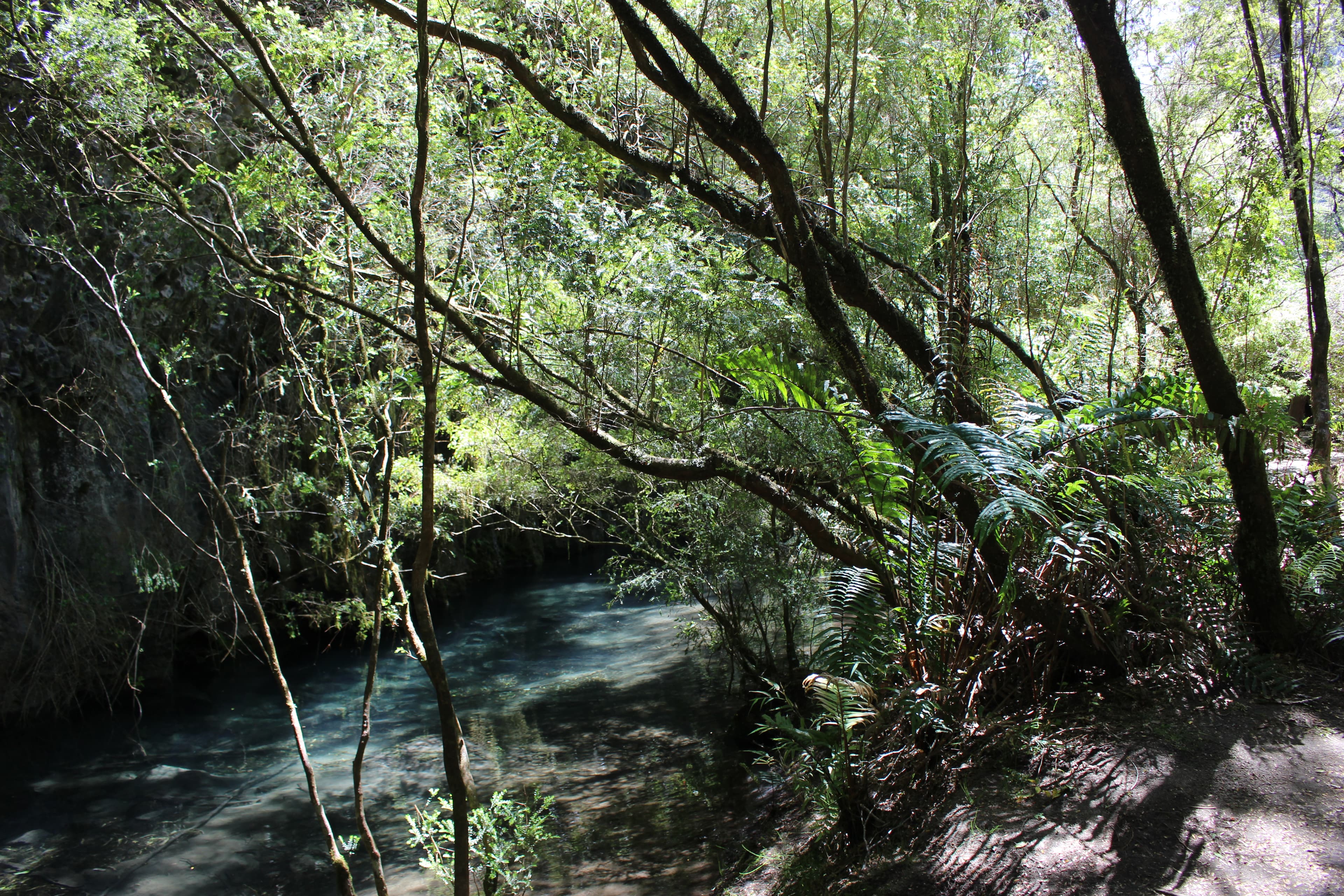 Calm path at Saltos de Petrohué