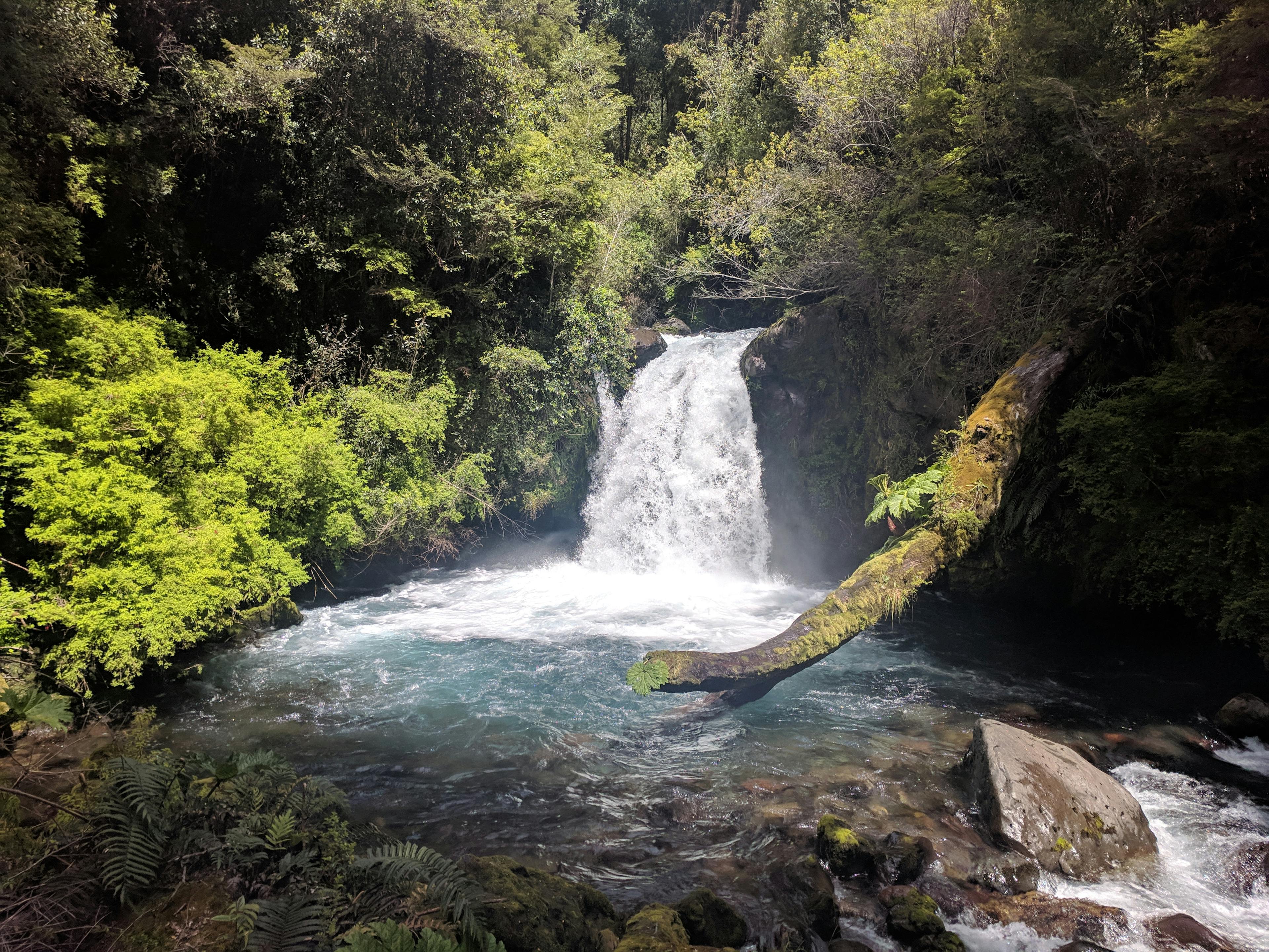 More waterfalls at Parque Nacional Puyehue