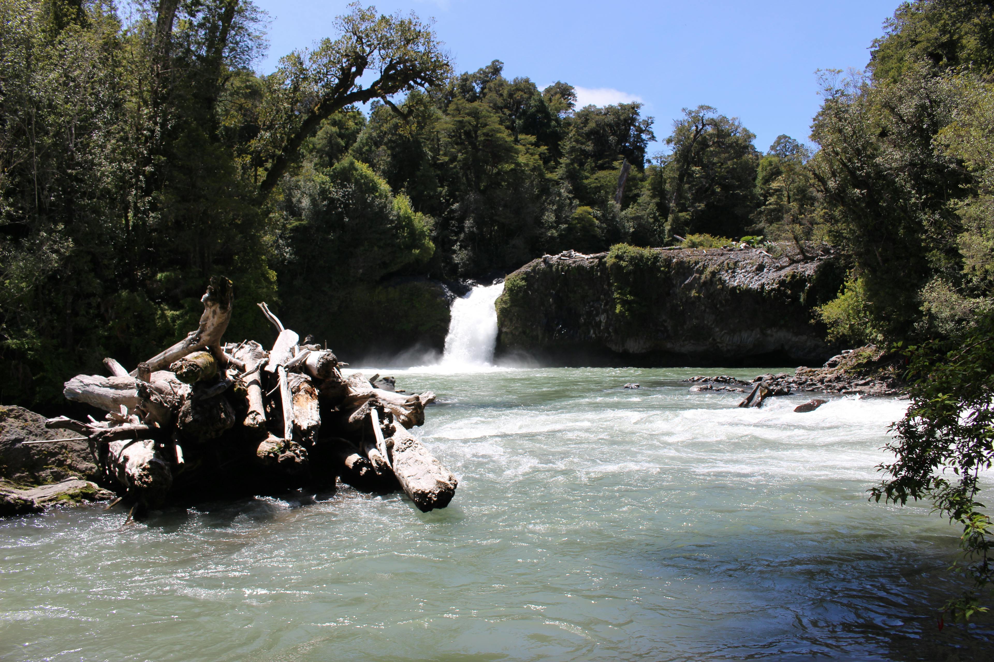 Waterfall at Parque Nacional Puyehue