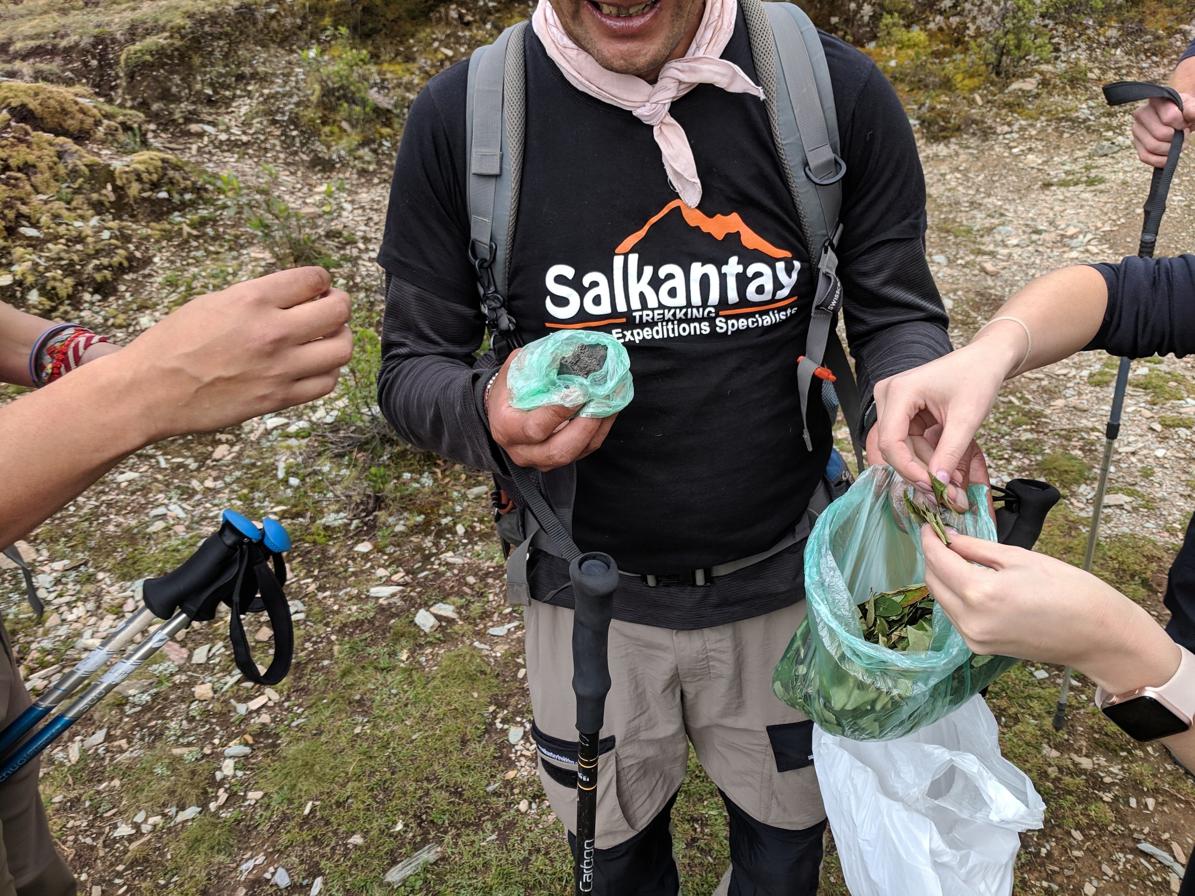 Coca leaves handout