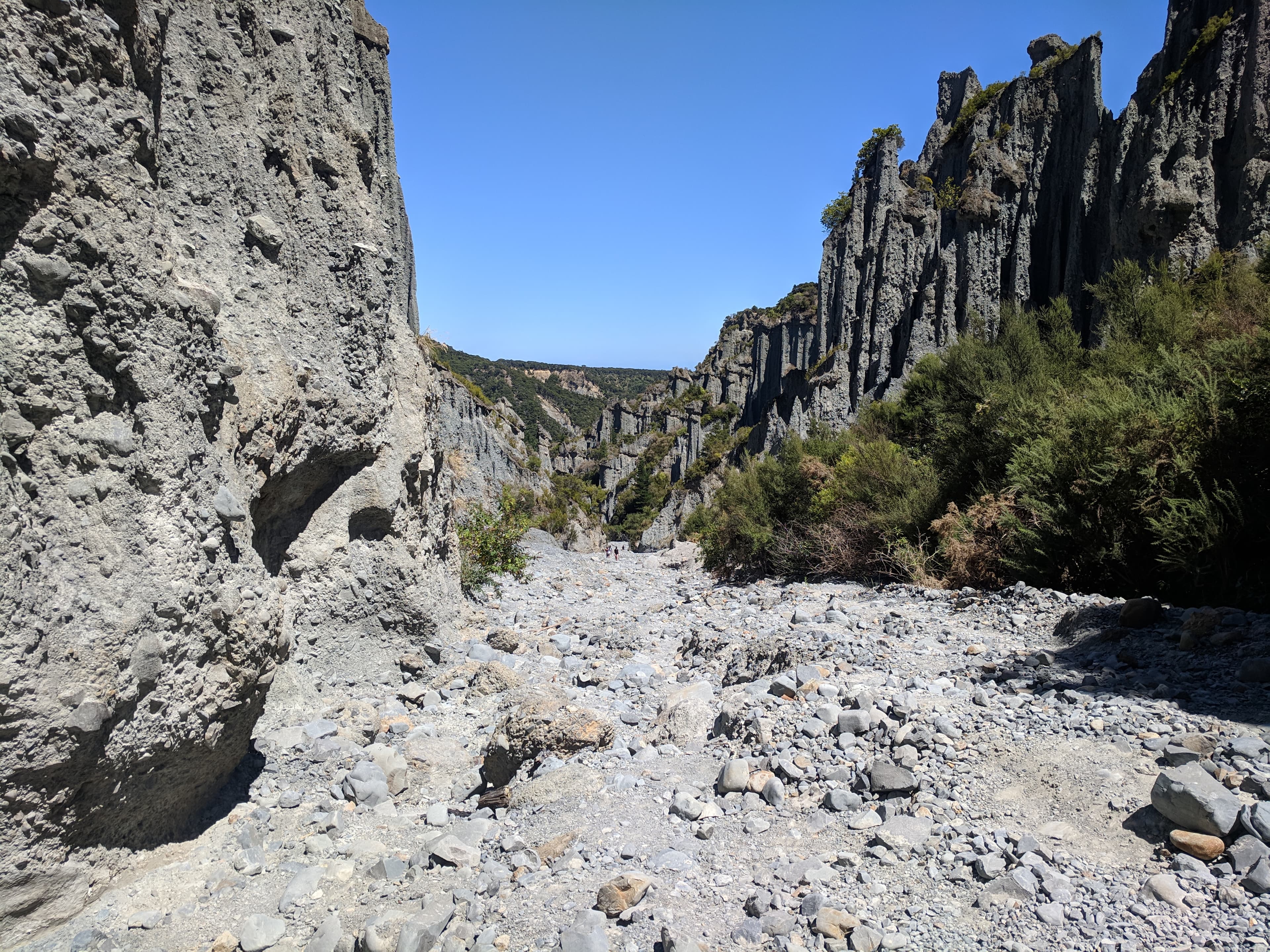 Cover Image for Visiting the Dimholt Road and Rivendell Lord of the Rings Film Locations near Wellington... And Seals!