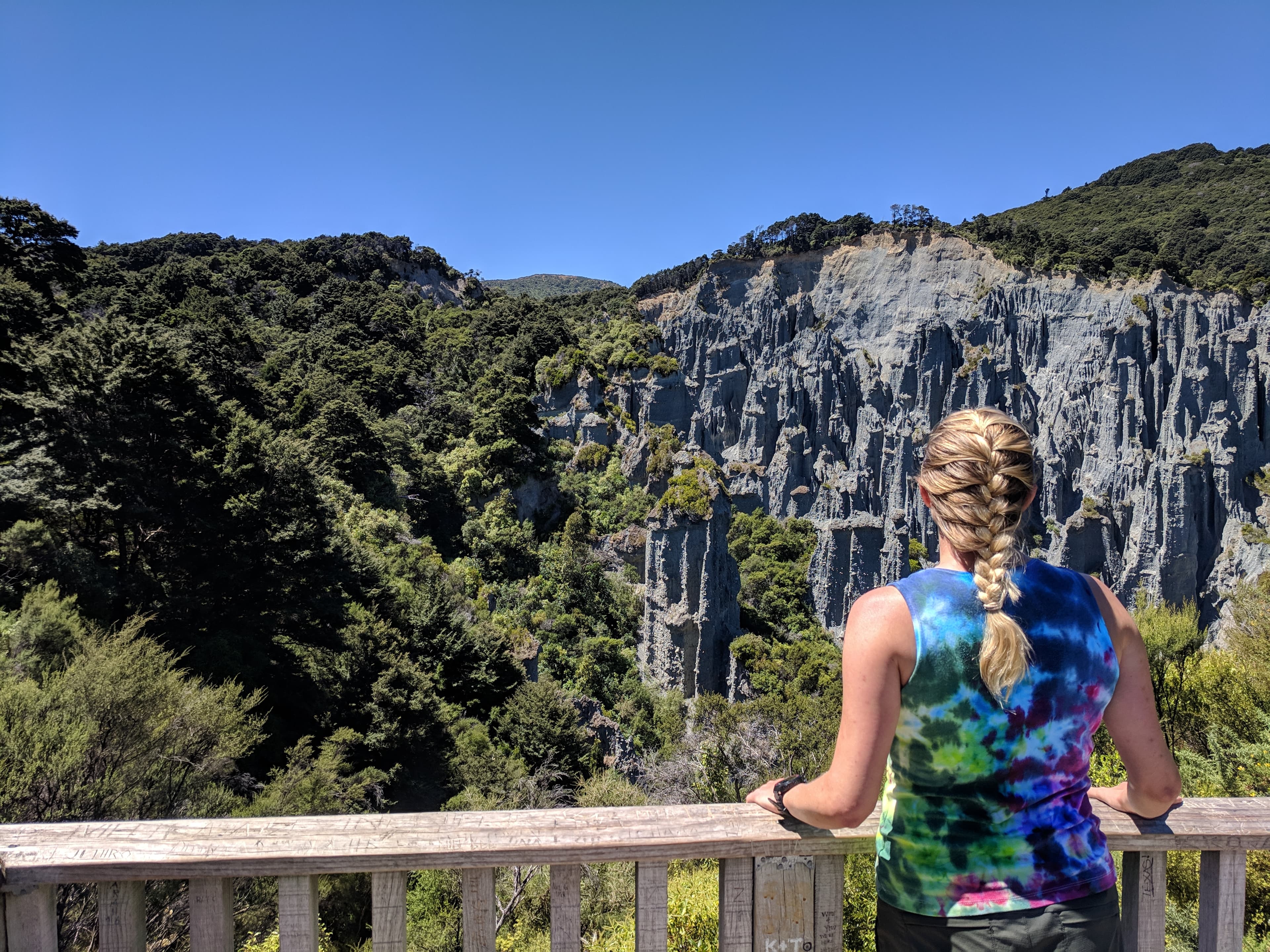 Lauren admiring the overhead view of Putangirua Pinnacles/Dimholt Road Hike Lauren admiring the overhead view of Putangirua Pinnacles/Dimholt Road Hike