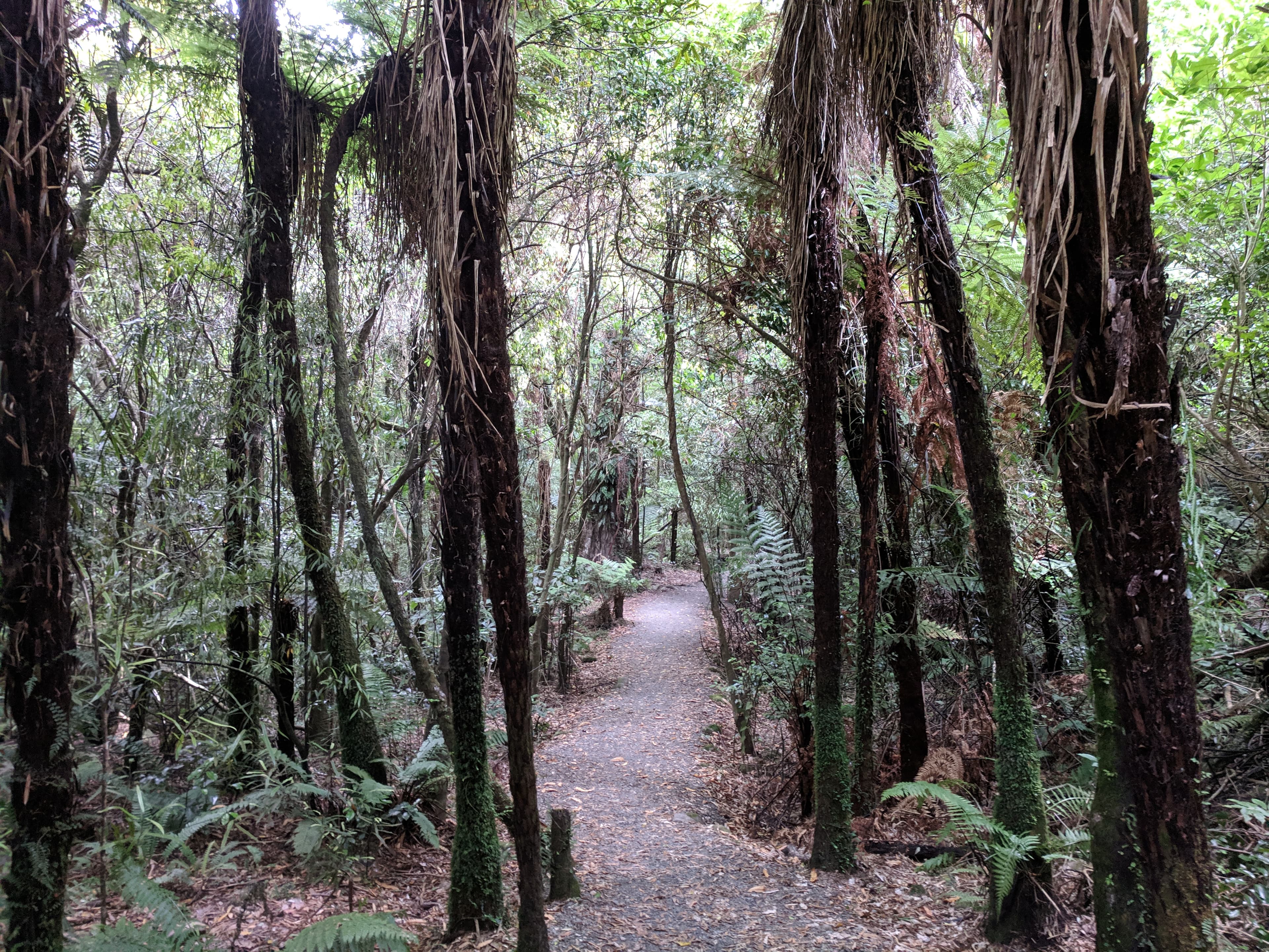Path at Swing Bridge Loop Track Path at Swing Bridge Loop Track